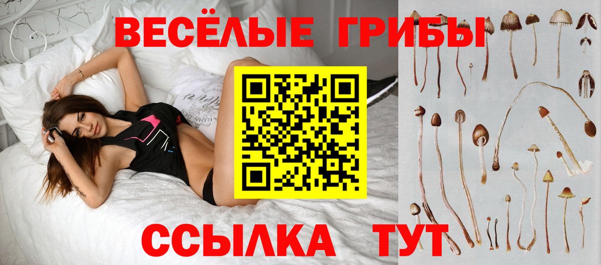 Галлюциногенные грибы MAGIC MUSHROOMS  Вход с VPN  купить   Бузулук 